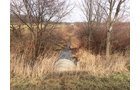 Galatia Open Ditch - LAND AUCTION, 83.18+/- Acres offered in 2 Tracts
